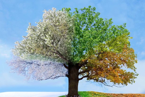 Image for GrowApp